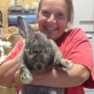 Meet your Posher, Karin